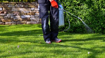 Yard Chemicals Pesticides